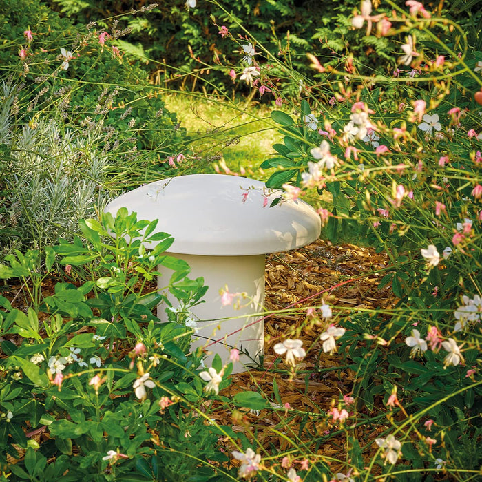 Focal Littora OD 4.1 Weatherproof Speaker System 8Ohms 70V/100V Outdoor Satellites and Sub Speaker Bundle (Light)