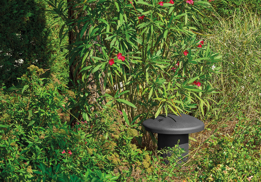 Focal OD Sub 12 Outdoor In-Ground 12" Subwoofer Iris IP Driver 400W 8 Ohms 70/100V Compatible - Dark
