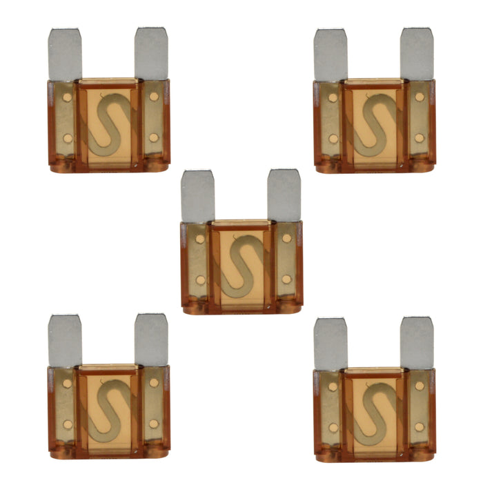 20-100 Amp Large Blade Style Audio MAXI Fuses for Car RV Boat Auto (5 Pack)